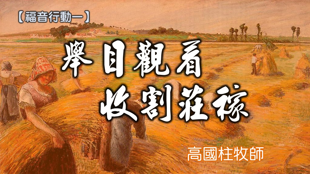 You are currently viewing 20180805高雄基督之家主日信息-福音行動一-舉目觀看收割莊稼