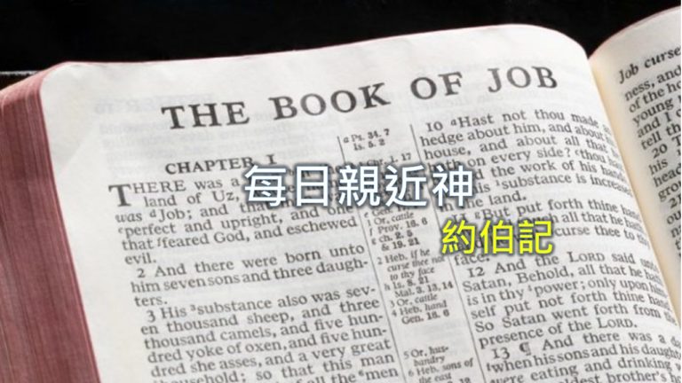 Read more about the article 每日親近神 2019/08/14 約伯記 第36天