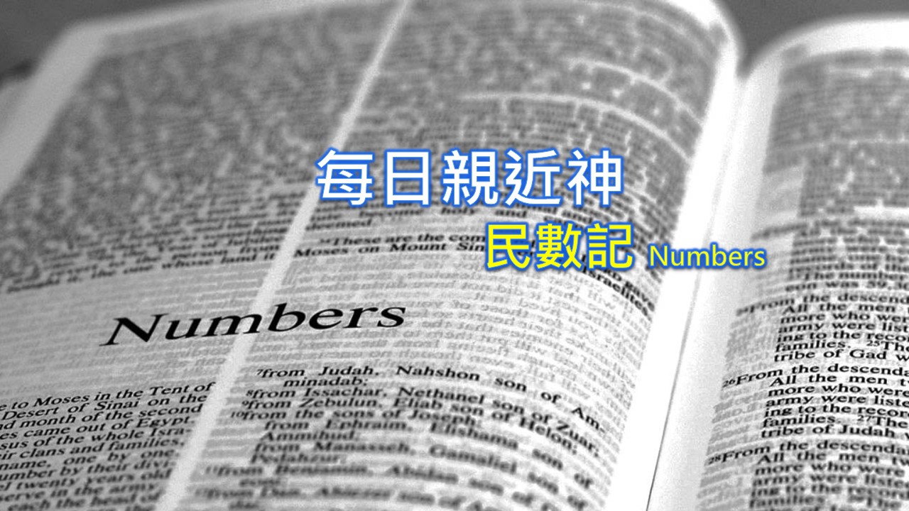 You are currently viewing 每日親近神 2023/11/05 民數記 第35天